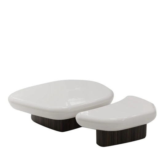 SECOLO | SET OF 2 KAWA COFFEE TABLES | $17,085