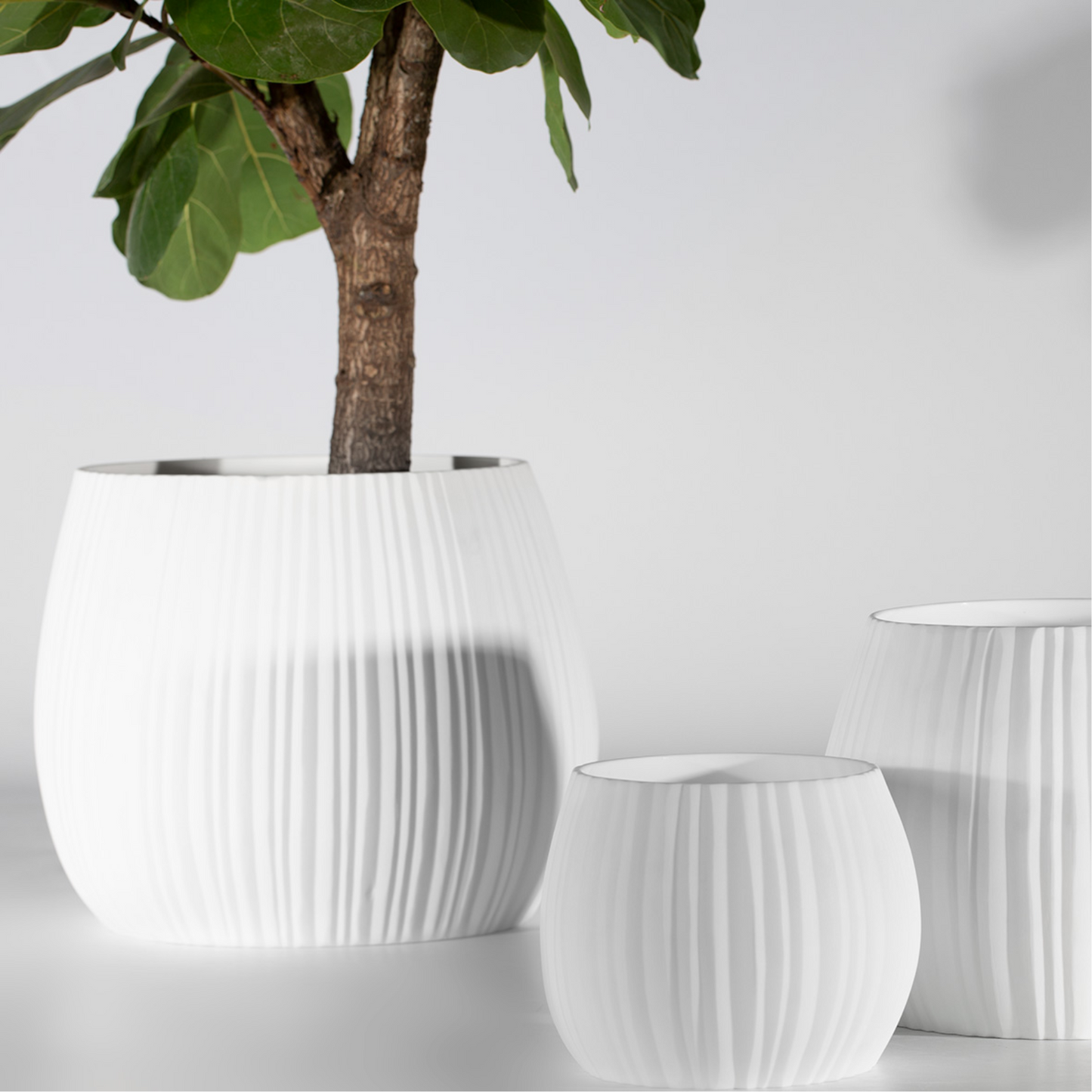 GUAXS CONNEMA In White - $218.00 - $788.00