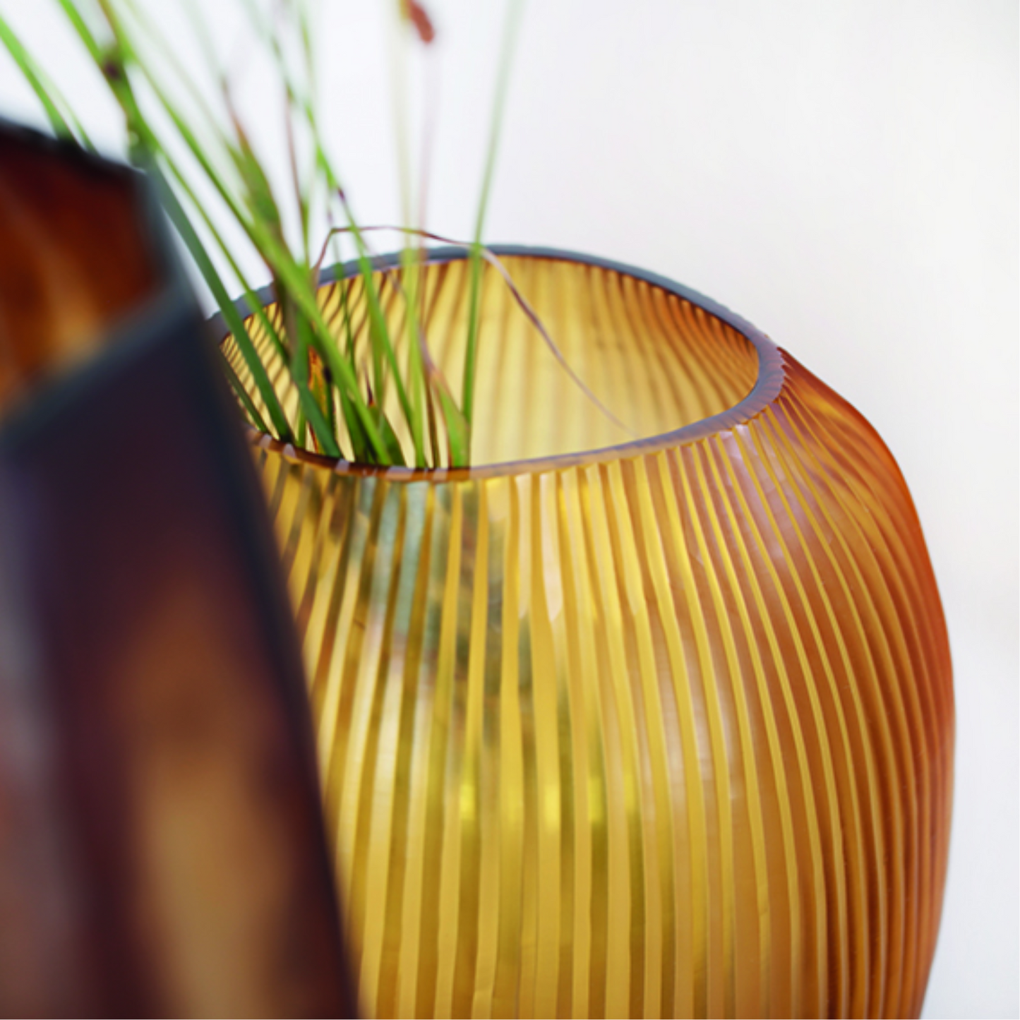 GUAXS NAGAA In Gold - $92.00 - $356.00