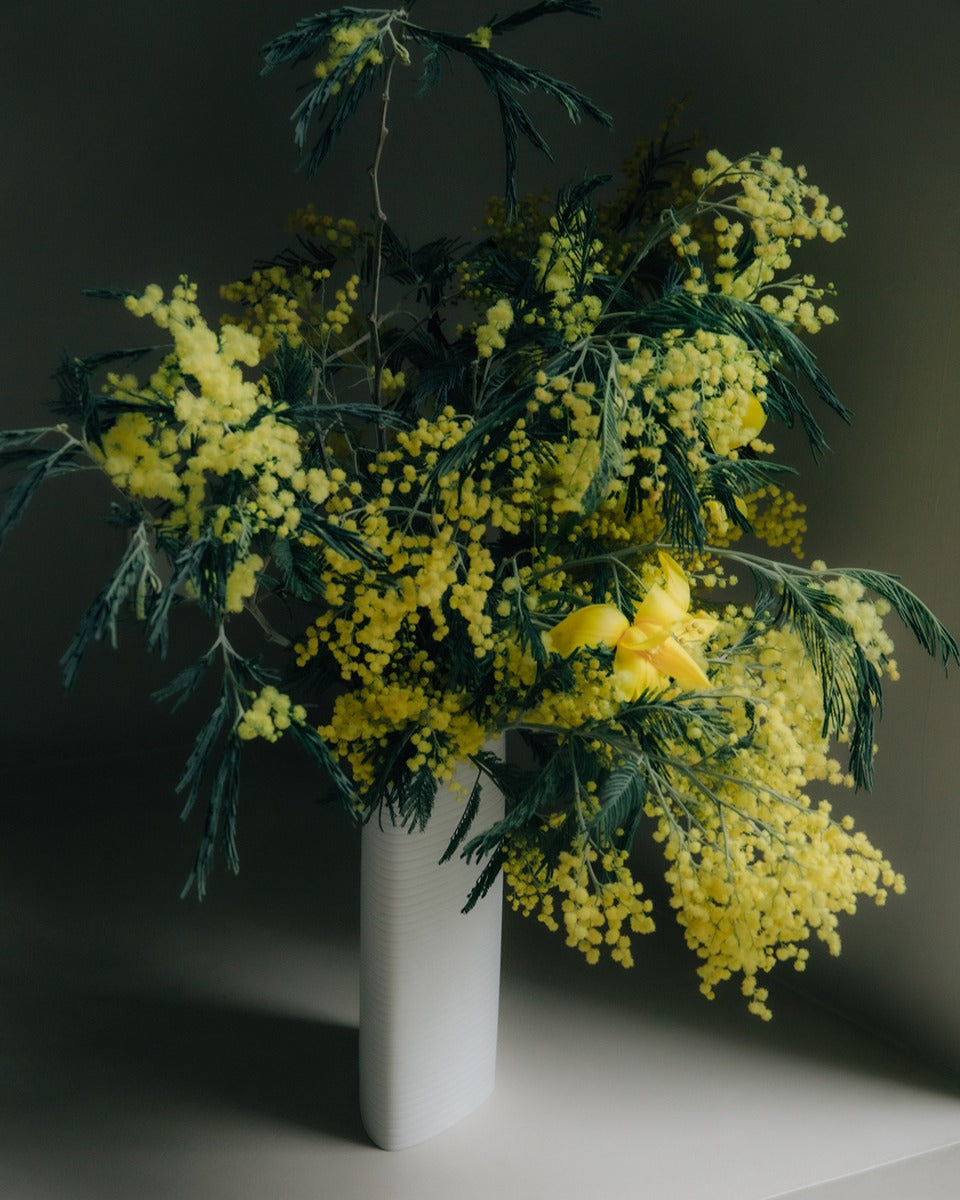 Hering Berlin Pulse Tropo Vase