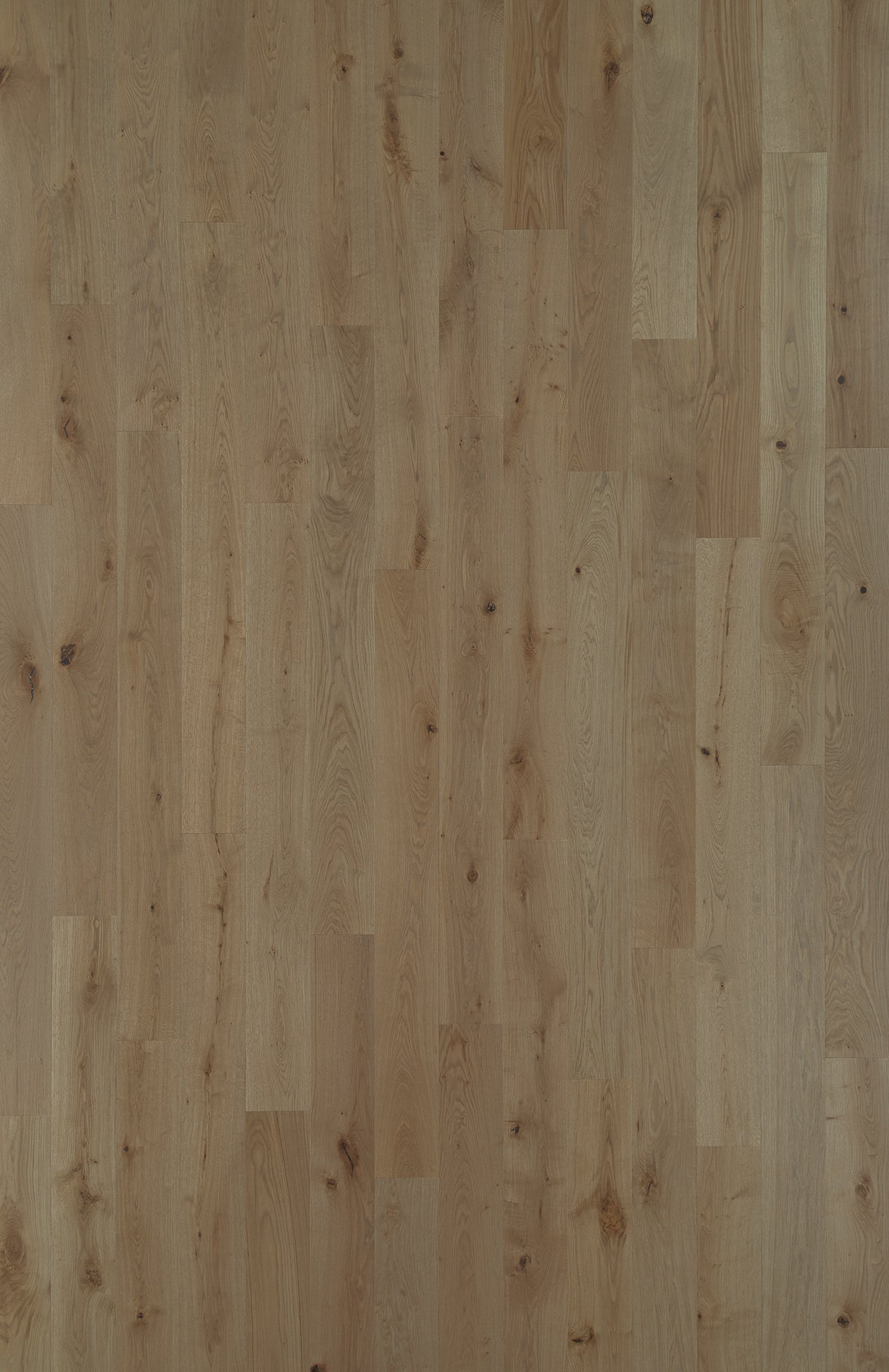 MA04 ROVERE OAK | Hardwood Flooring - $15.33 - $23.91