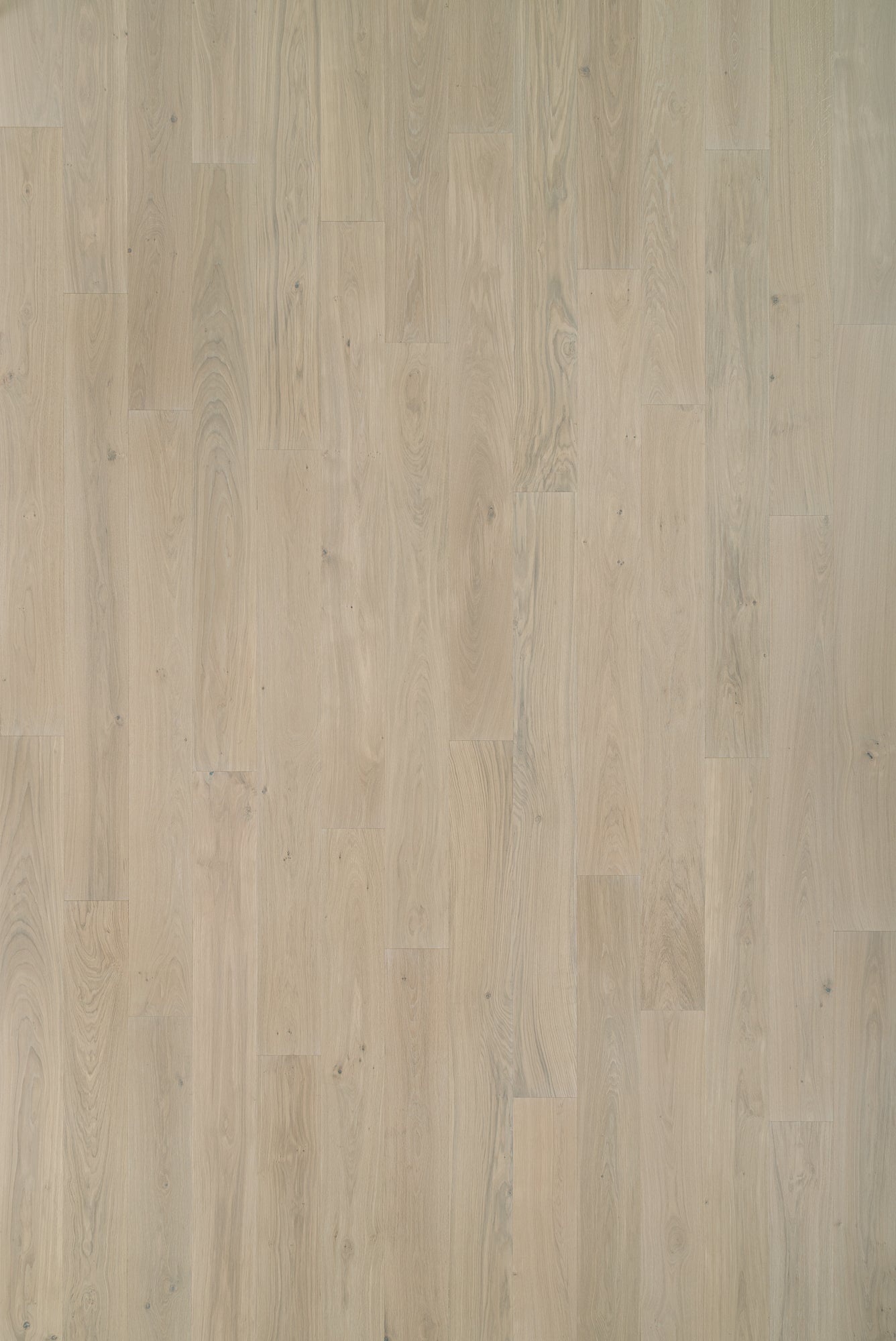 MA10 ROVERE OAK | Hardwood Flooring - $15.53 - $26.77