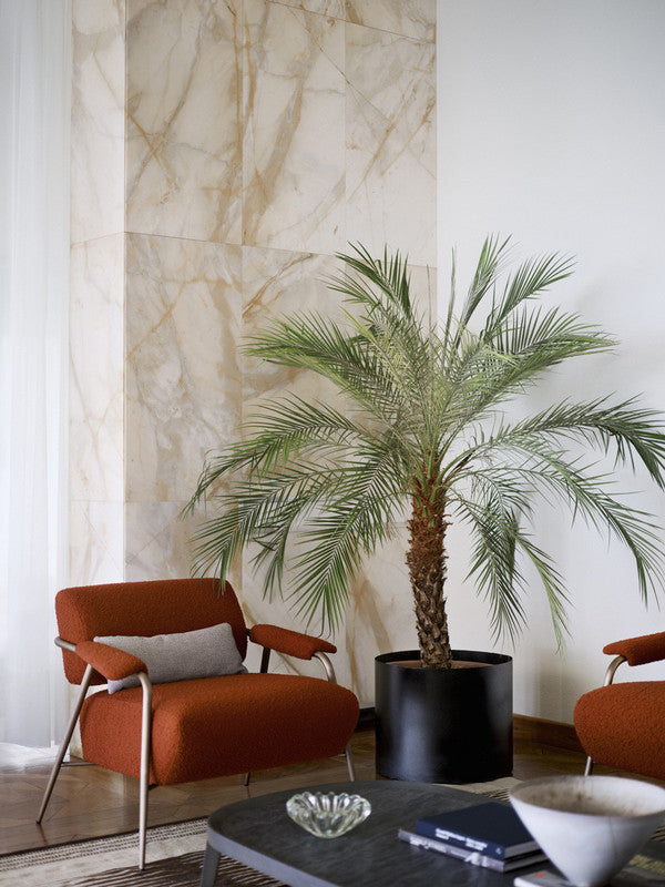 POTOCCO | Stay Armchair
