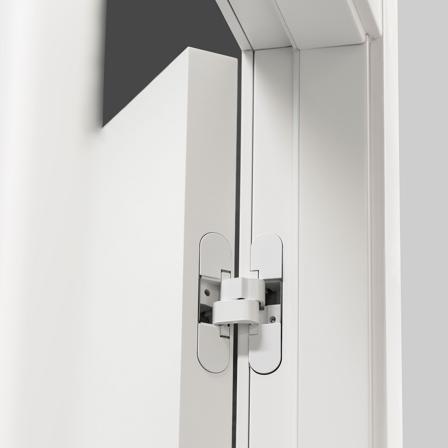 V50 | DOOR BY VIVA PORTE