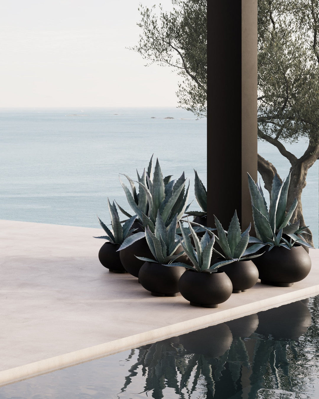 101 COPENHAGEN I URCHIN PLANT PIOT, COFFEE I $85.00 - $795.00
