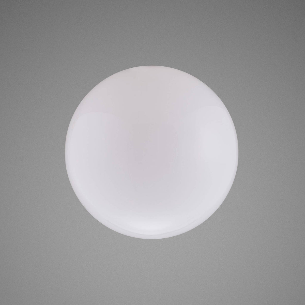 FORKED GLOBE / LARGE - OPAL