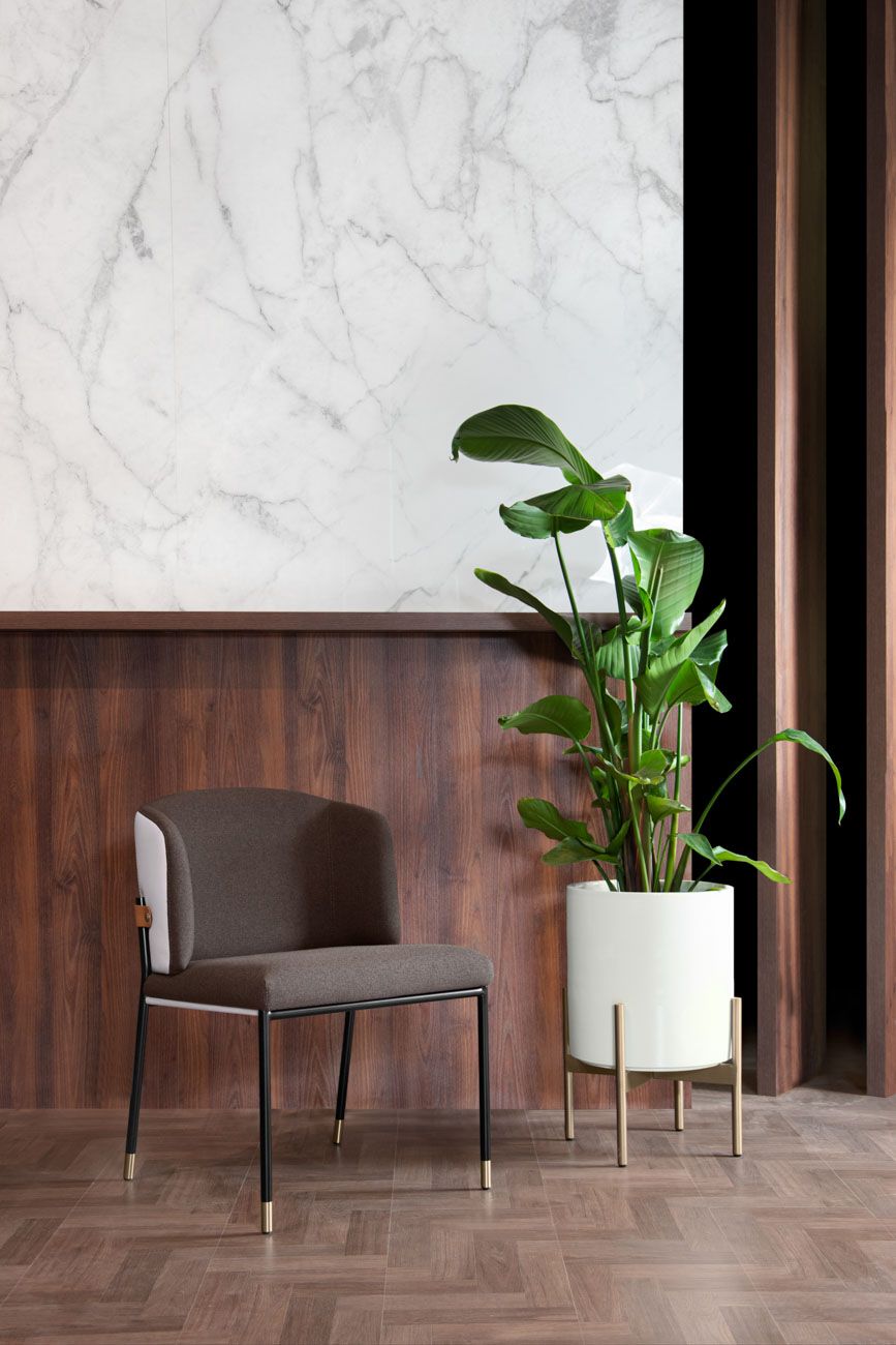 ASTON MARTIN HOME | V242 DINING CHAIR | $6,600.00 - $6,710.00