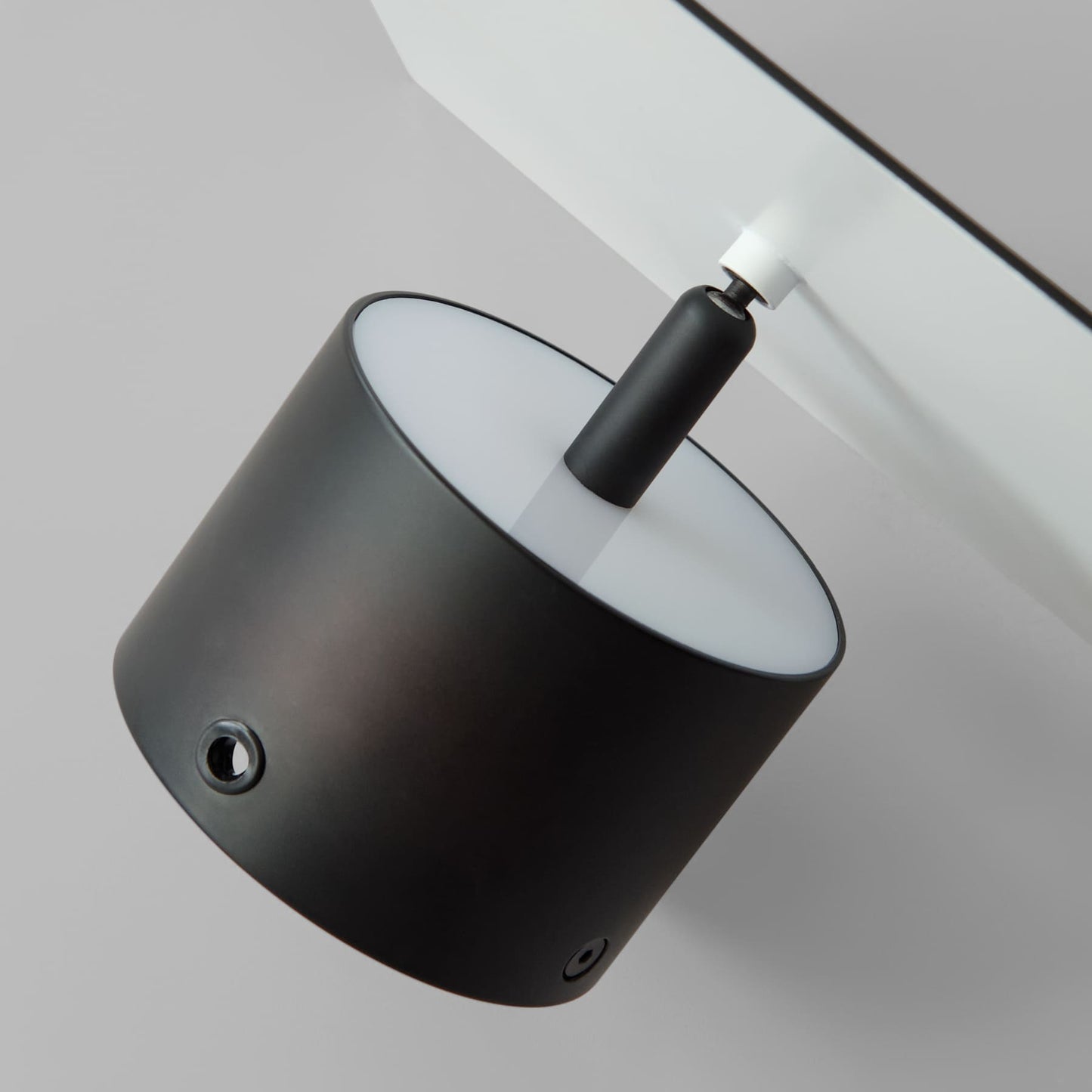 Chameleon Wall Lamp