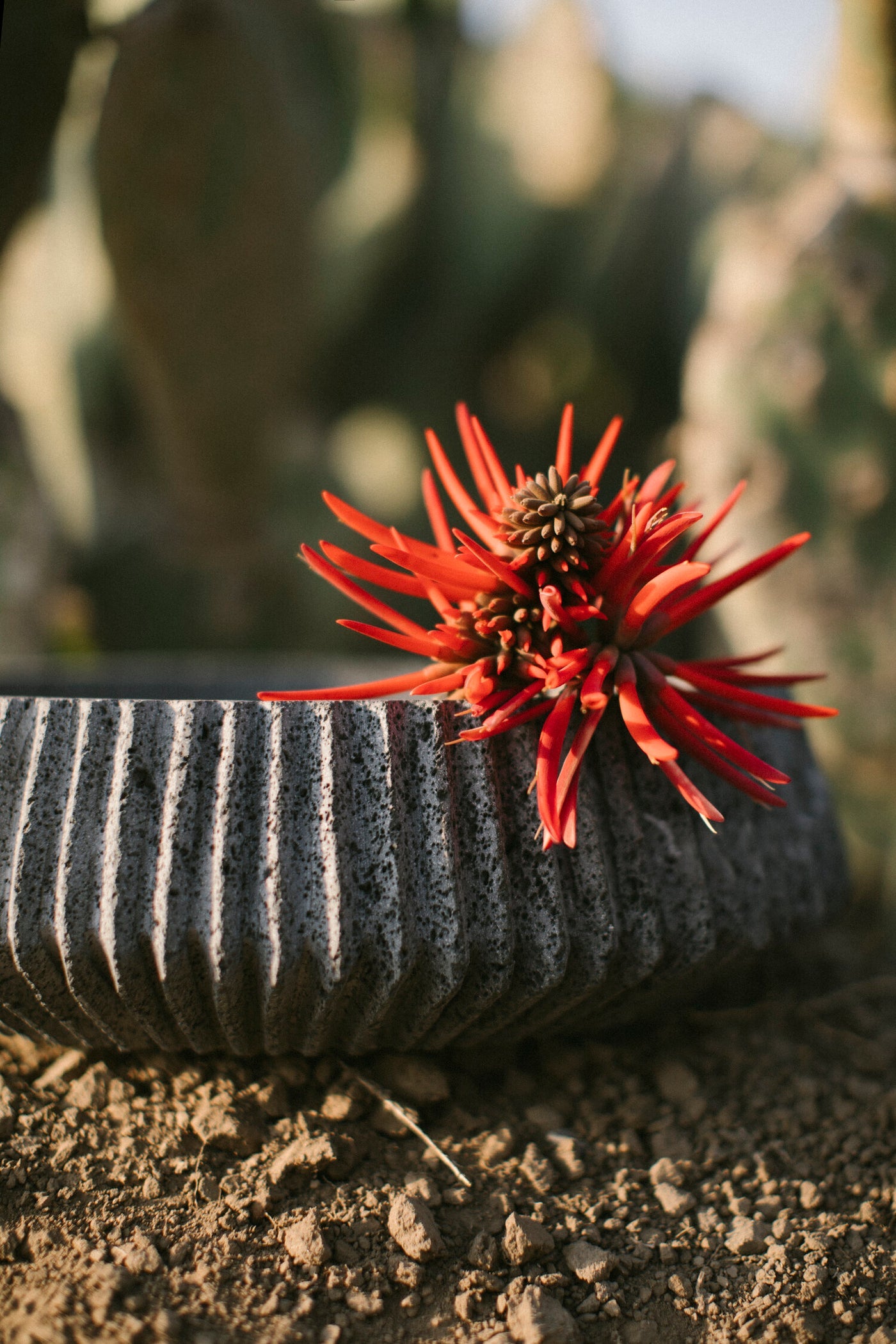 AYRES | MAYAPAN VESSEL