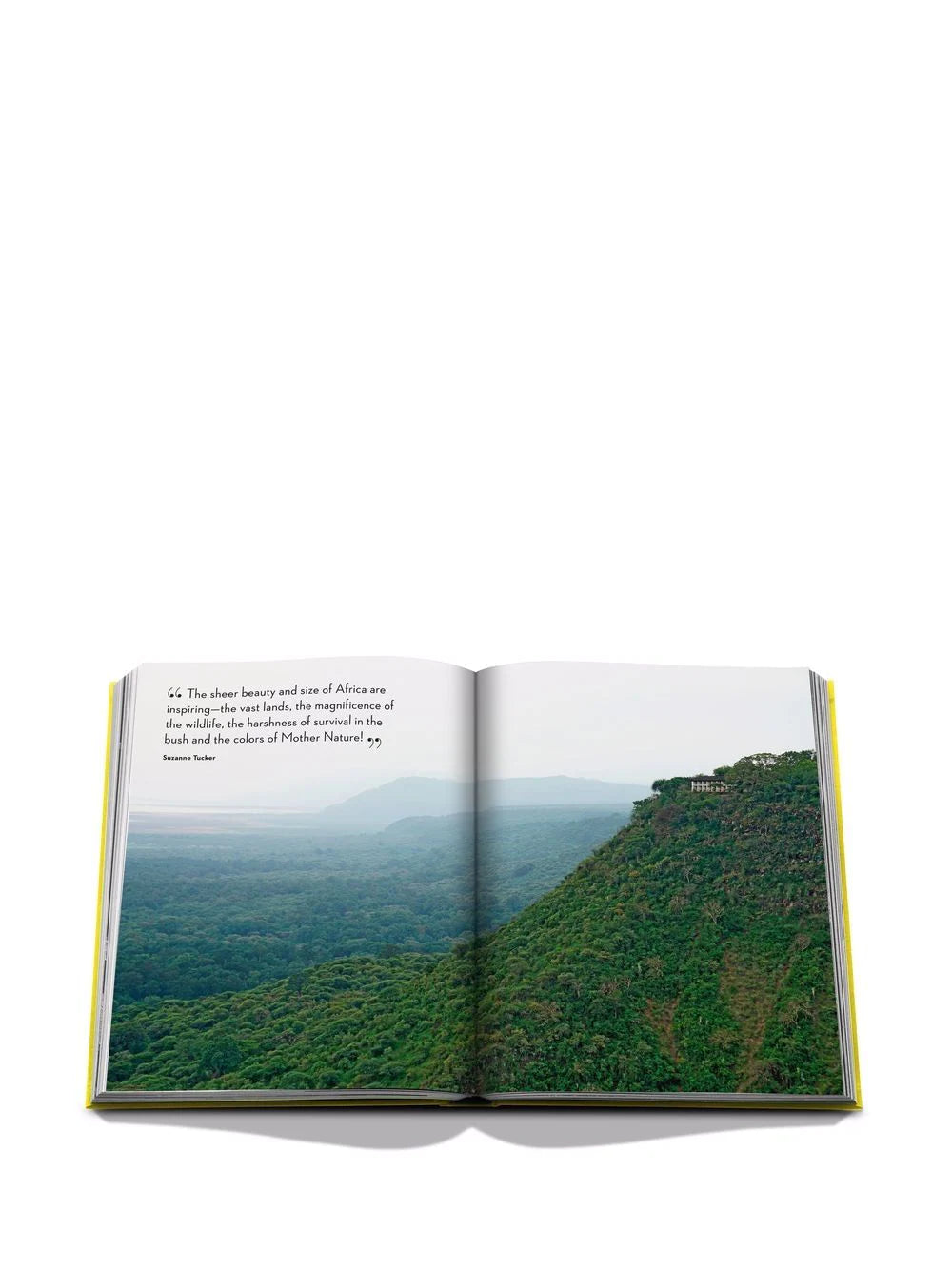 TRAVEL BY DESIGN BOOK - $95