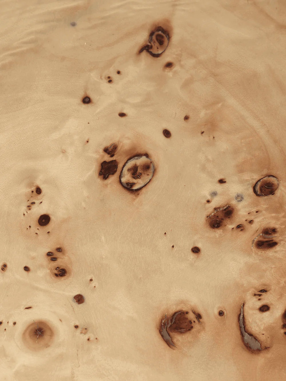FERM LIVING | BURL COFFEE TABLE | $1,759.00