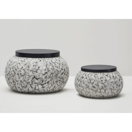 GILLES CAFFIER | PHANTE DISPLAY BOX | $650.00 - $800.00