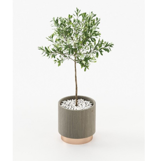 GOLD LITTLE FLOWER POT | $2,745.00 - $2,985.00