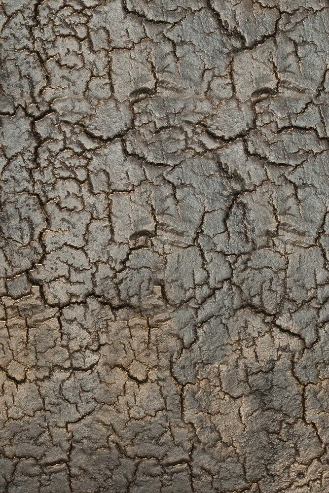 ETHNICRAFT TRIPTIC SIDE TABLE | $589.00