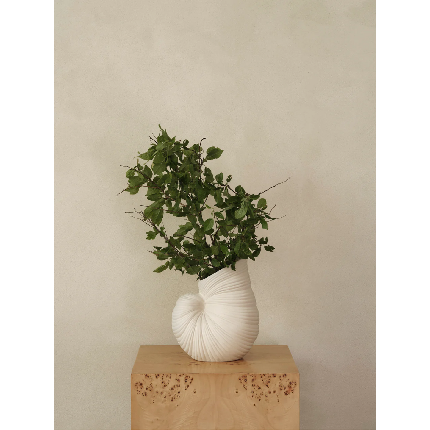 FERM LIVING | SHELL POT | $105.00 - $135.00