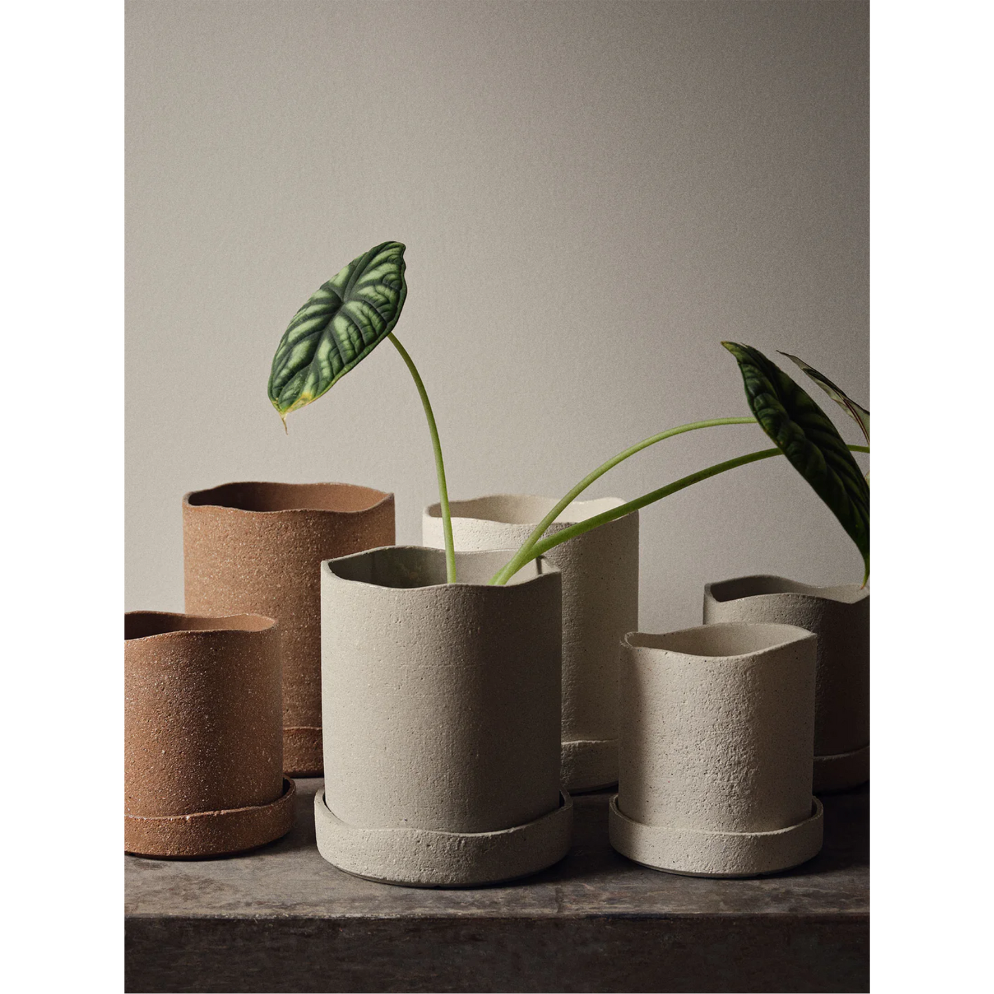 FERM LIVING | UNERU POT | $45.00 - $65.00