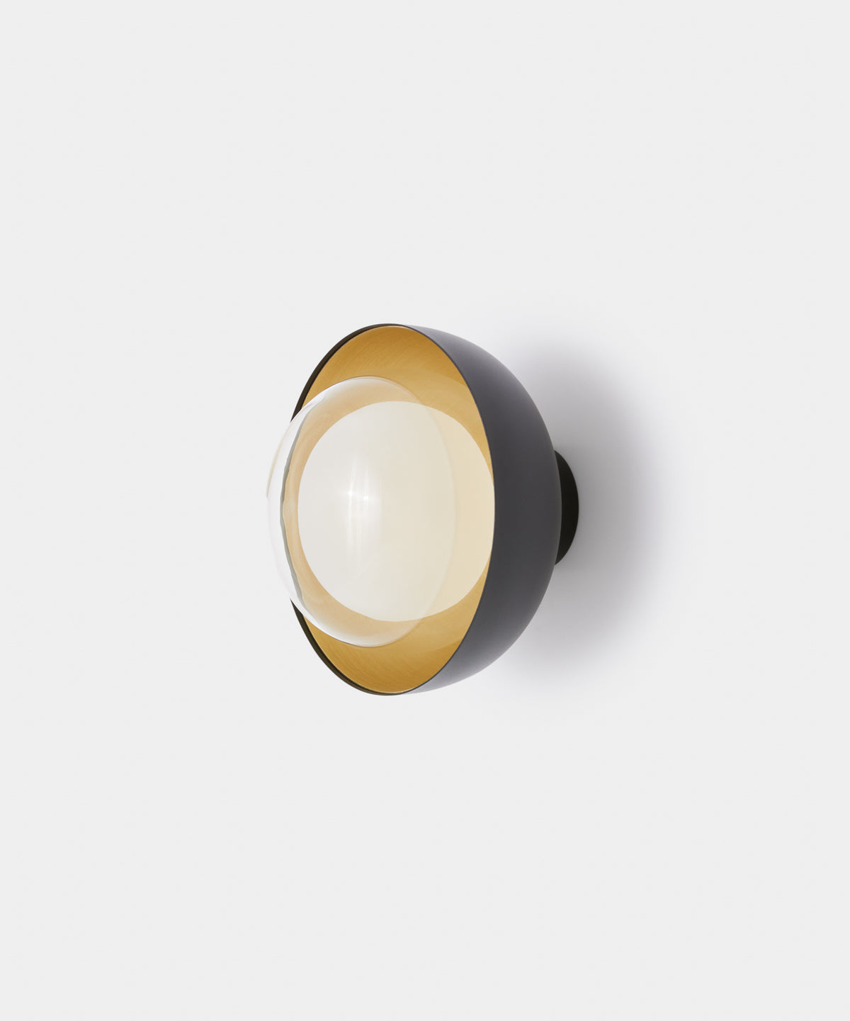 Muse 554.72 wall/ceiling light by TOOY