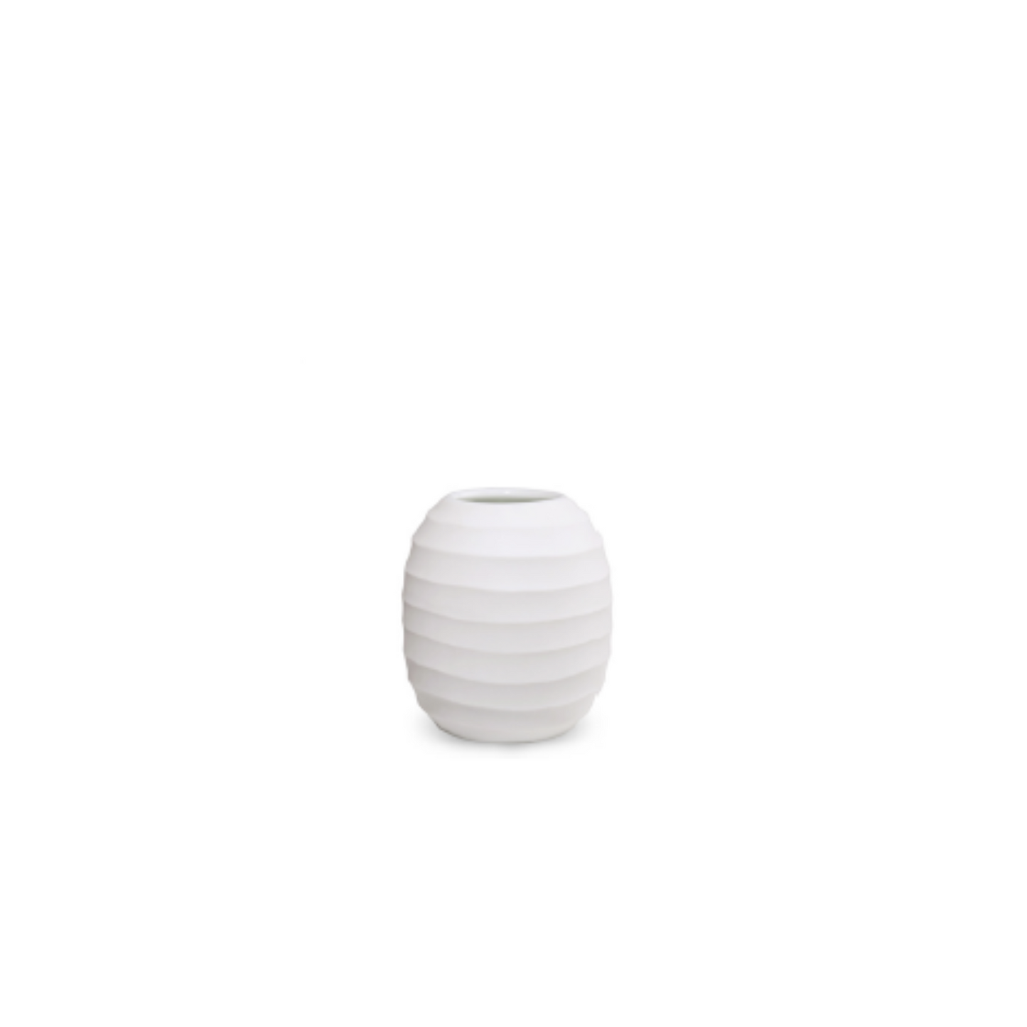 GUAXS BELLY In White - $48.00 - $693.00