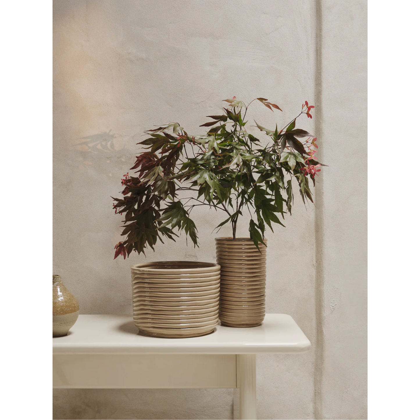 FERM LIVING | CORDUROY POT | $85.00