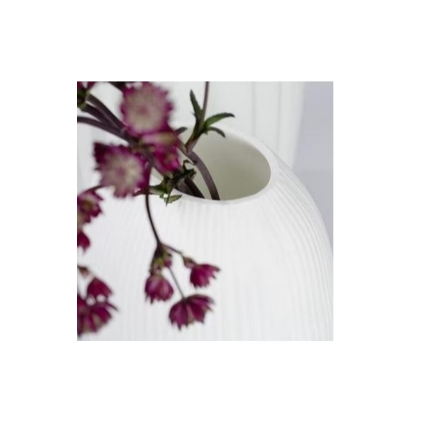 GUAXS NAGAA In White - $80.00 - $317.00