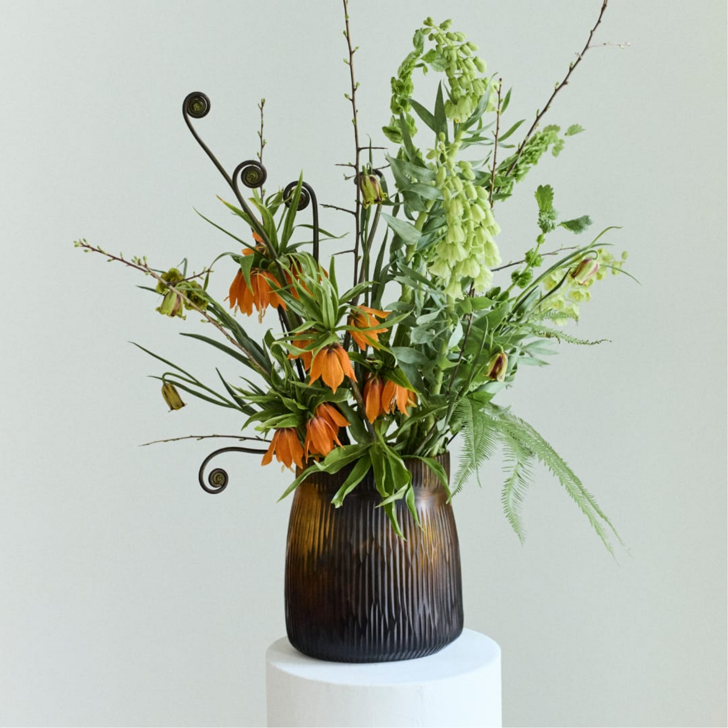 GUAXS MATHURA In Dark Brown - $168.00 - $748.00