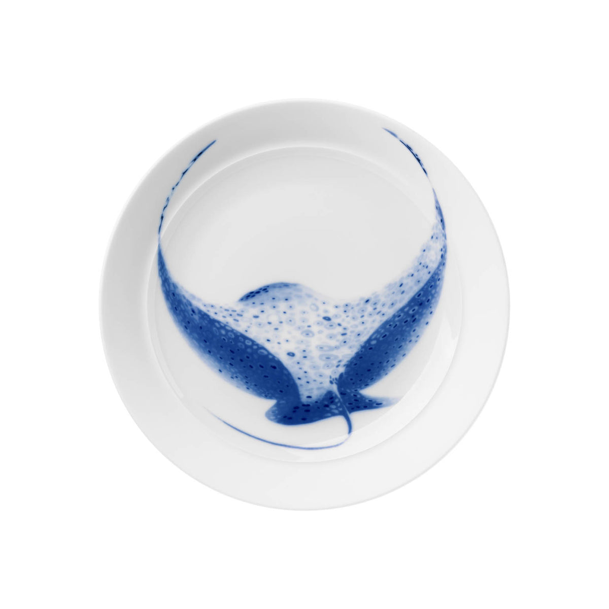 Hering Berlin Ocean Shallow Plate