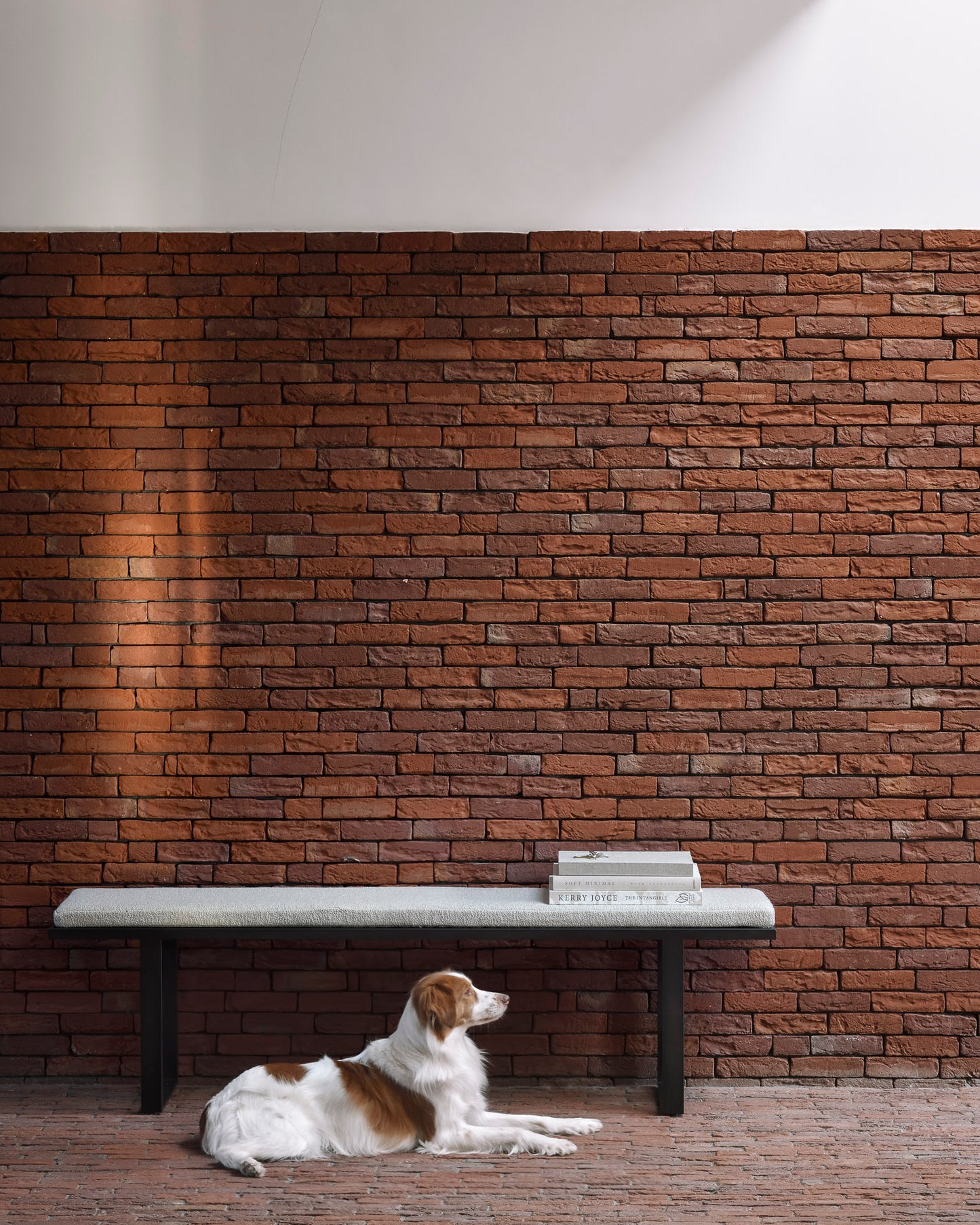 ETHNICRAFT STABILITY BENCH | $1,709.00