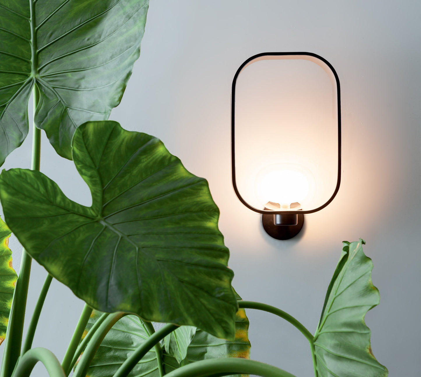 FILIPA WALL LIGHT 555.41 BY TOOY from $1,480.00