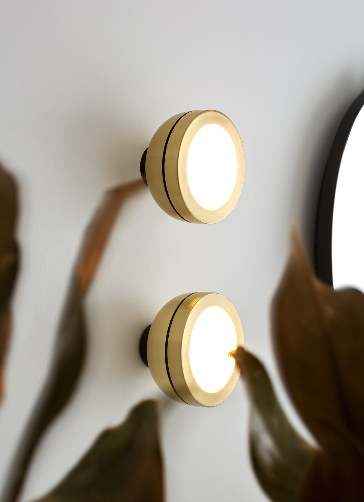 Molly 556.71 wall/ceiling light by TOOY
