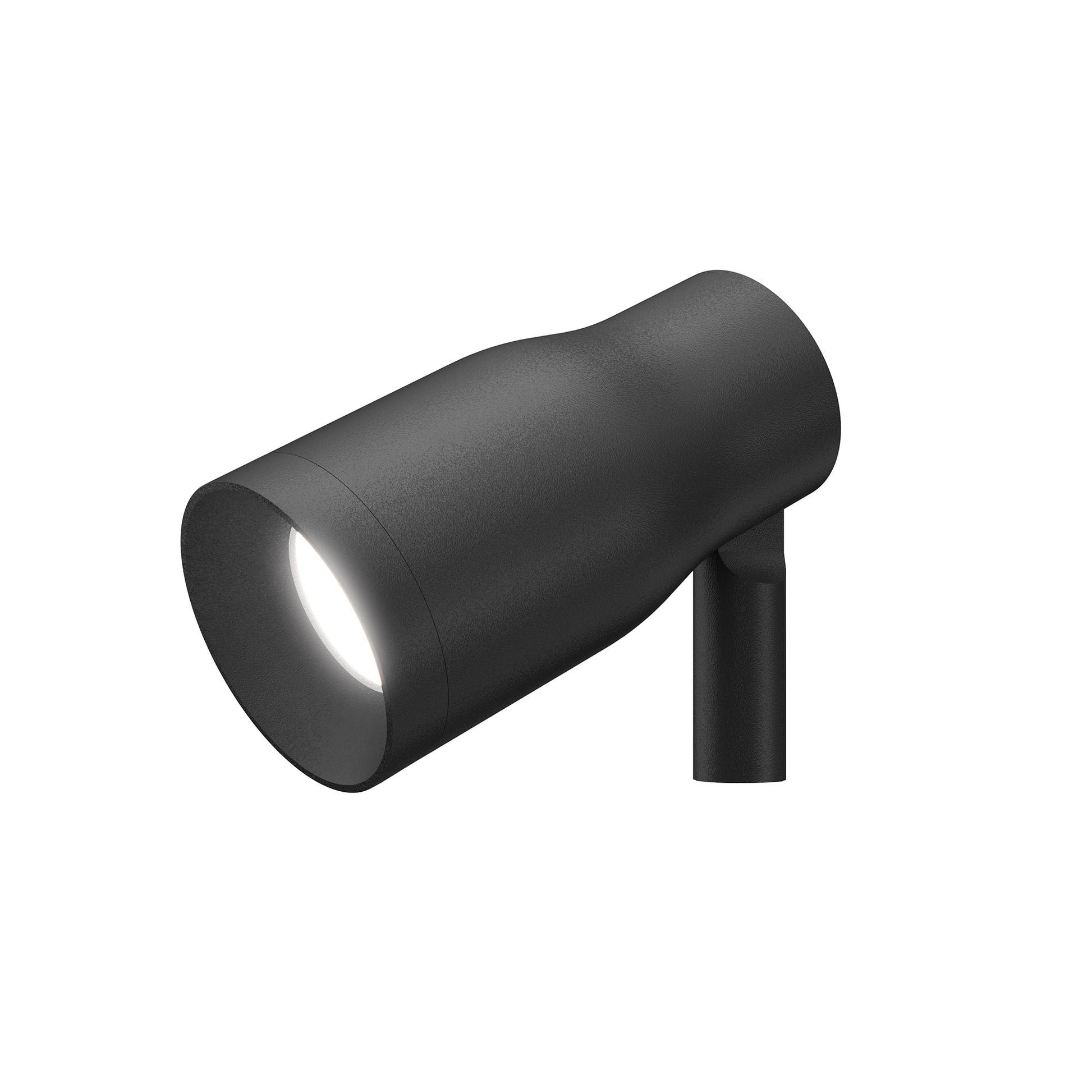 FLOS Landlord Spot Outdoor Ground Light, Black finish