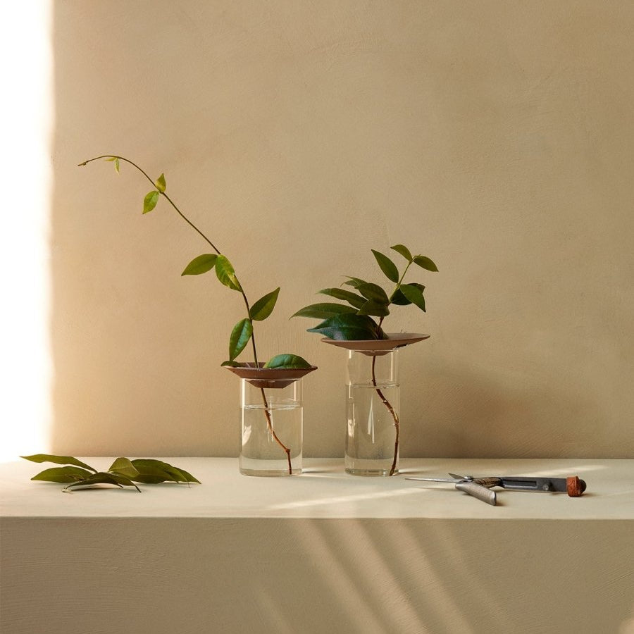 Cresco Propagation Vases, Set Of 2