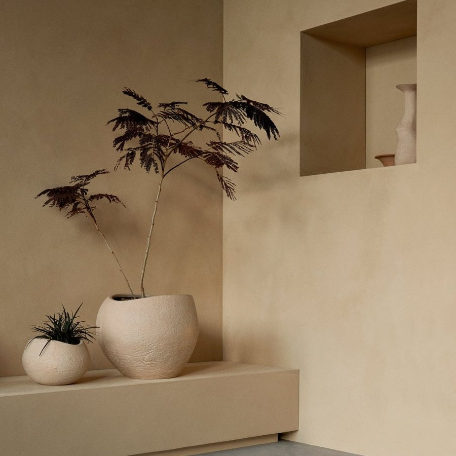 Plantas Planter
