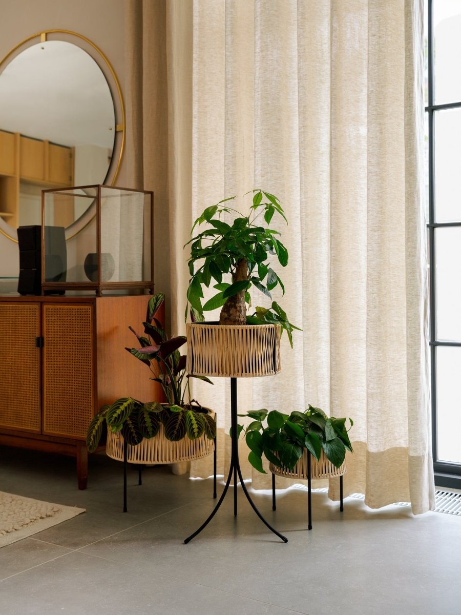 Umanoff Planter