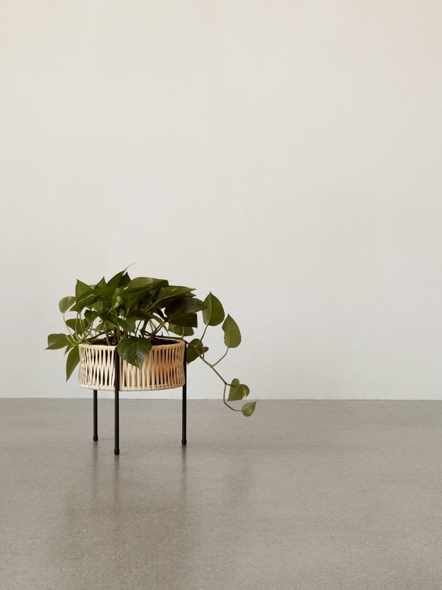 Umanoff Planter