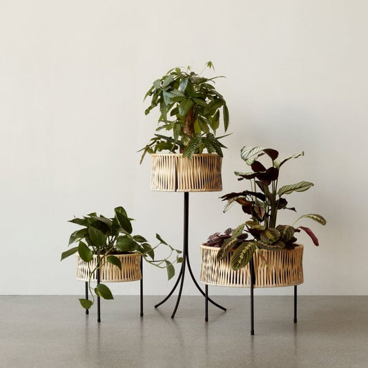 Umanoff Planter, Set Of 3