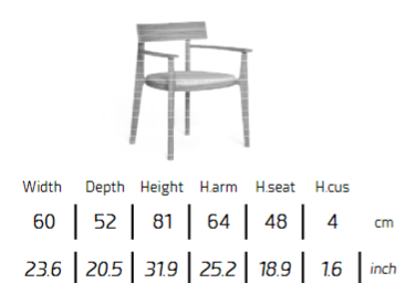 TALENTI | EVER  DINING ARMCHAIR - $2,587.06 - $3,442.93