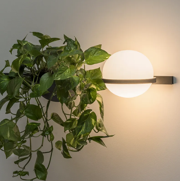 VIBIA | PALMA WALL | from $3,000.00