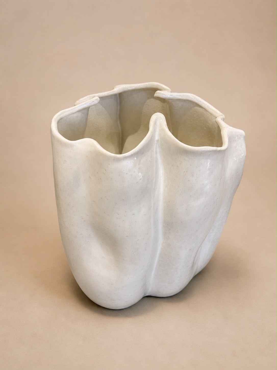 ORGANIC VASE $298