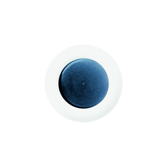 Hering Berlin Blue Silent Cake/Bread Plate