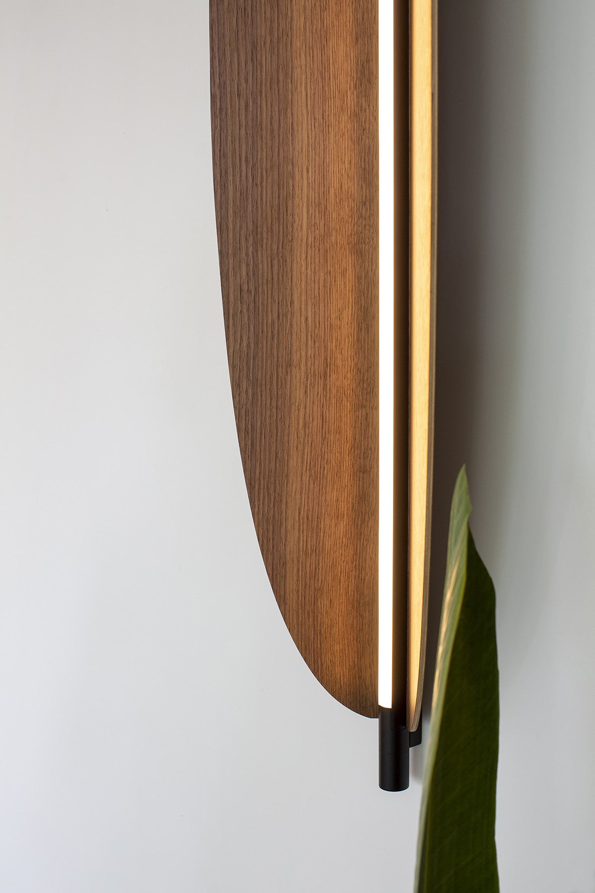 Thula 562.43 detail