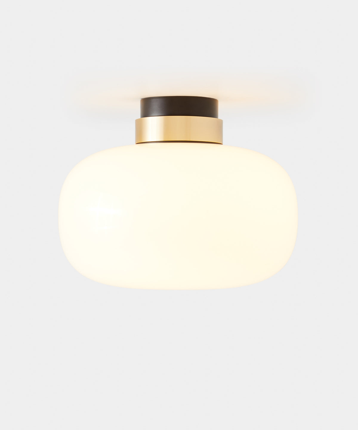 Legier 557.74E26 ceiling light detail
