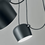 FLOS | AIM MULTI PENDANT LIGHT | $3,267.00 - $5,193.00