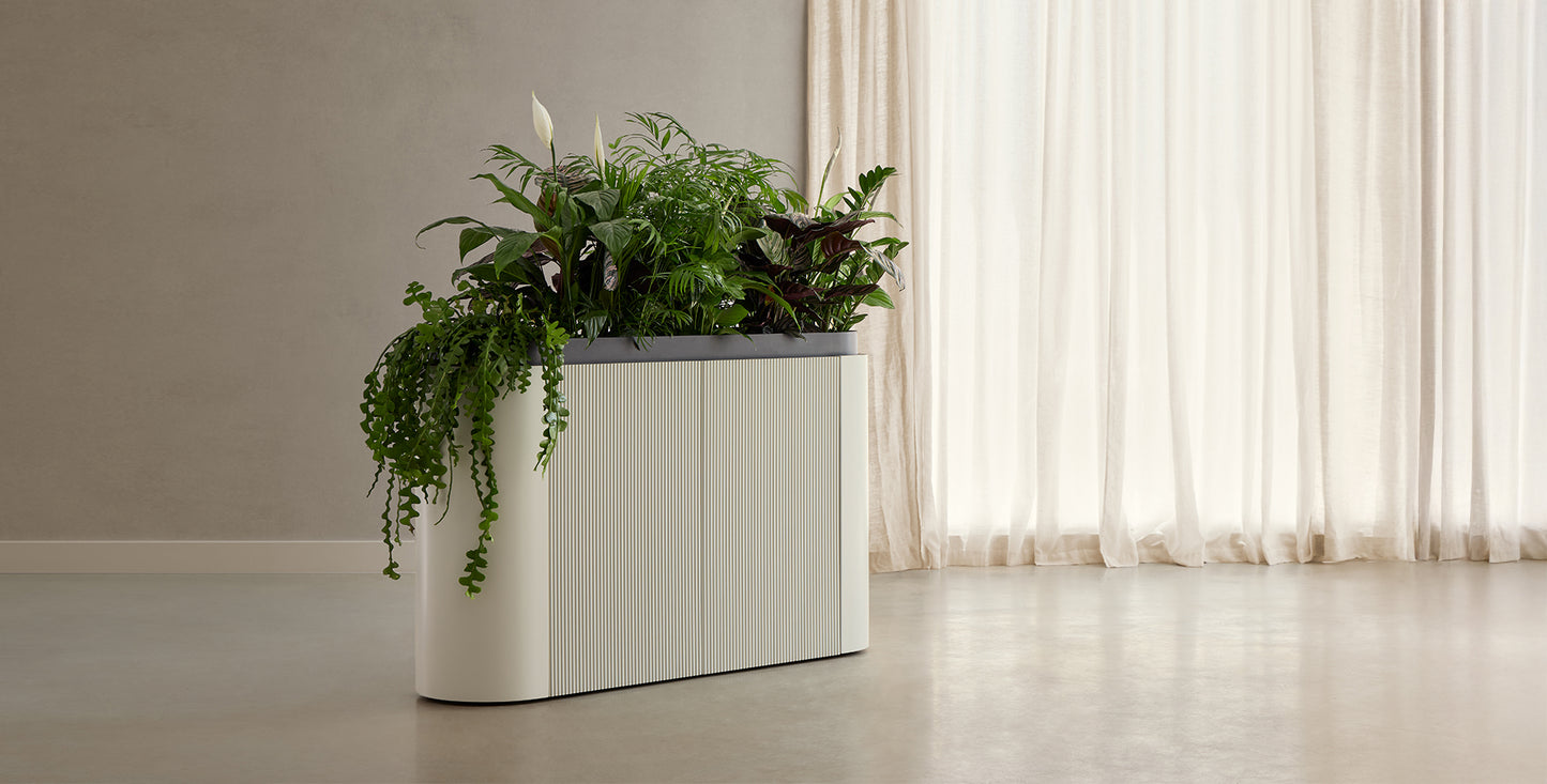 PUNT MOBLES | DUNE PLANTER | $5,490.00