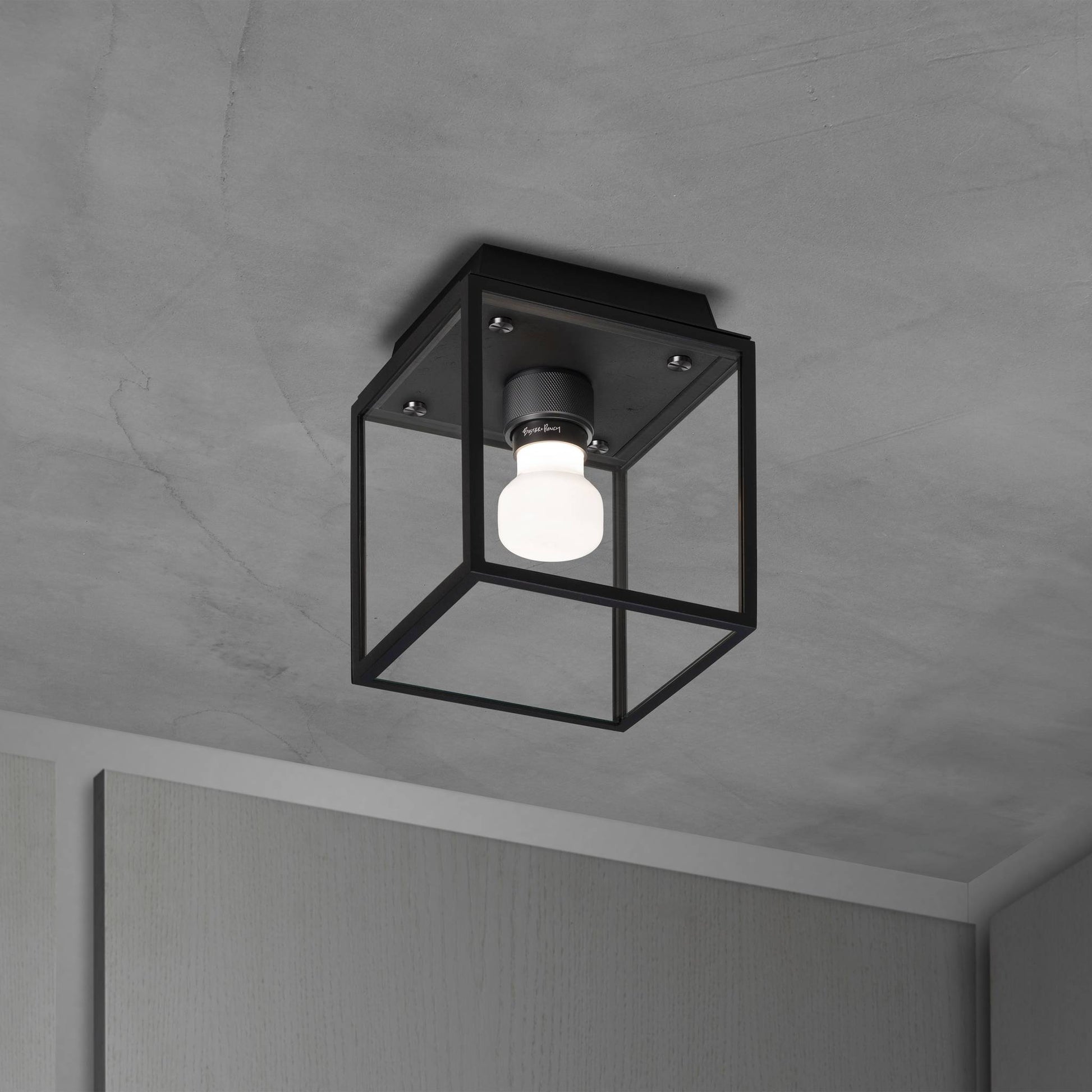 Caged Wet Ceiling Small Black Gun Metal