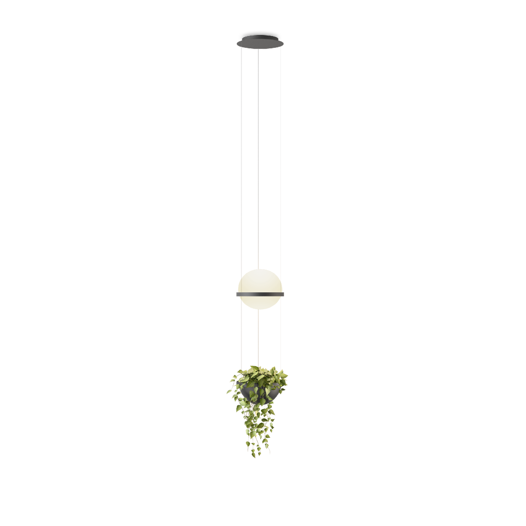 VIBIA | PALMA PENDANT | from $3,270.00