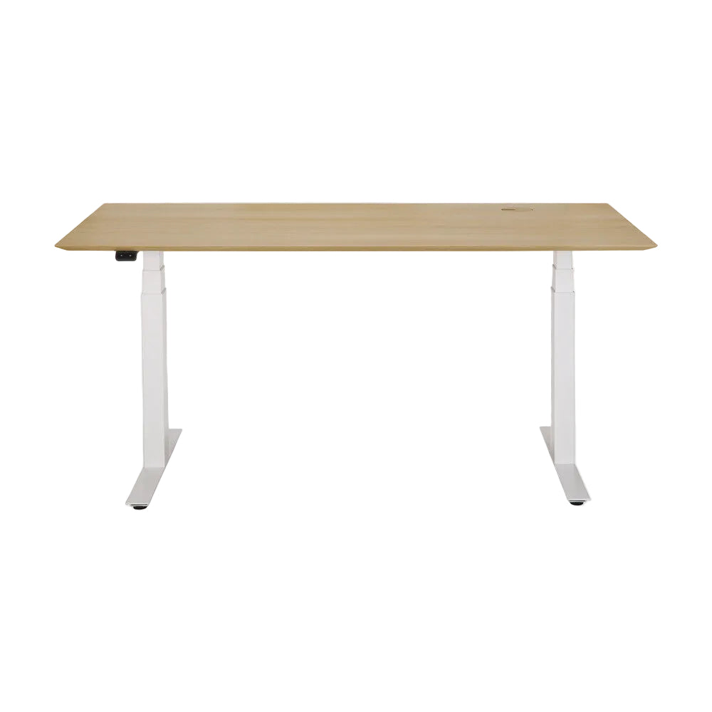 Ethnicraft Bok Adjustable Desk