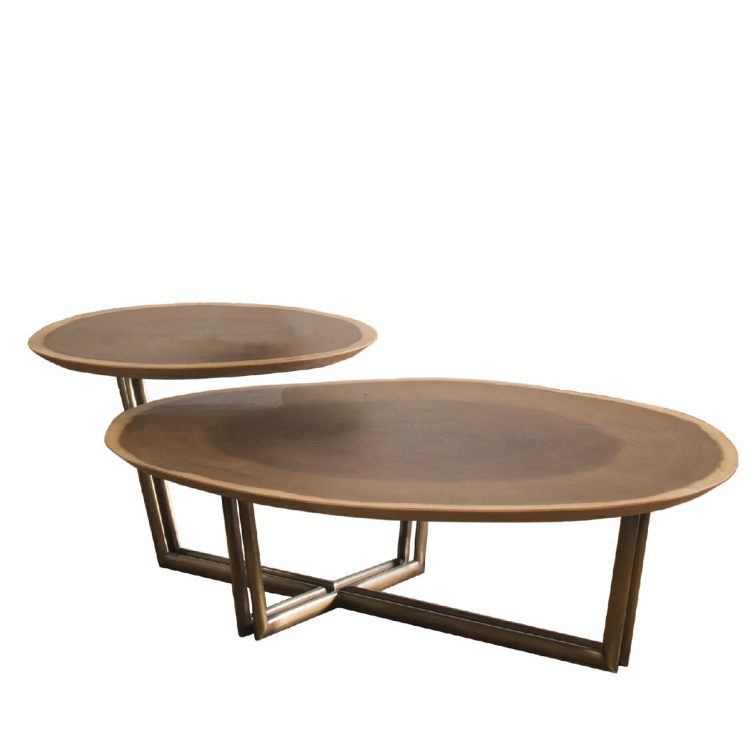 POESIA DOUBLE COFFEE TABLE BY BAMAX - $3,400.00