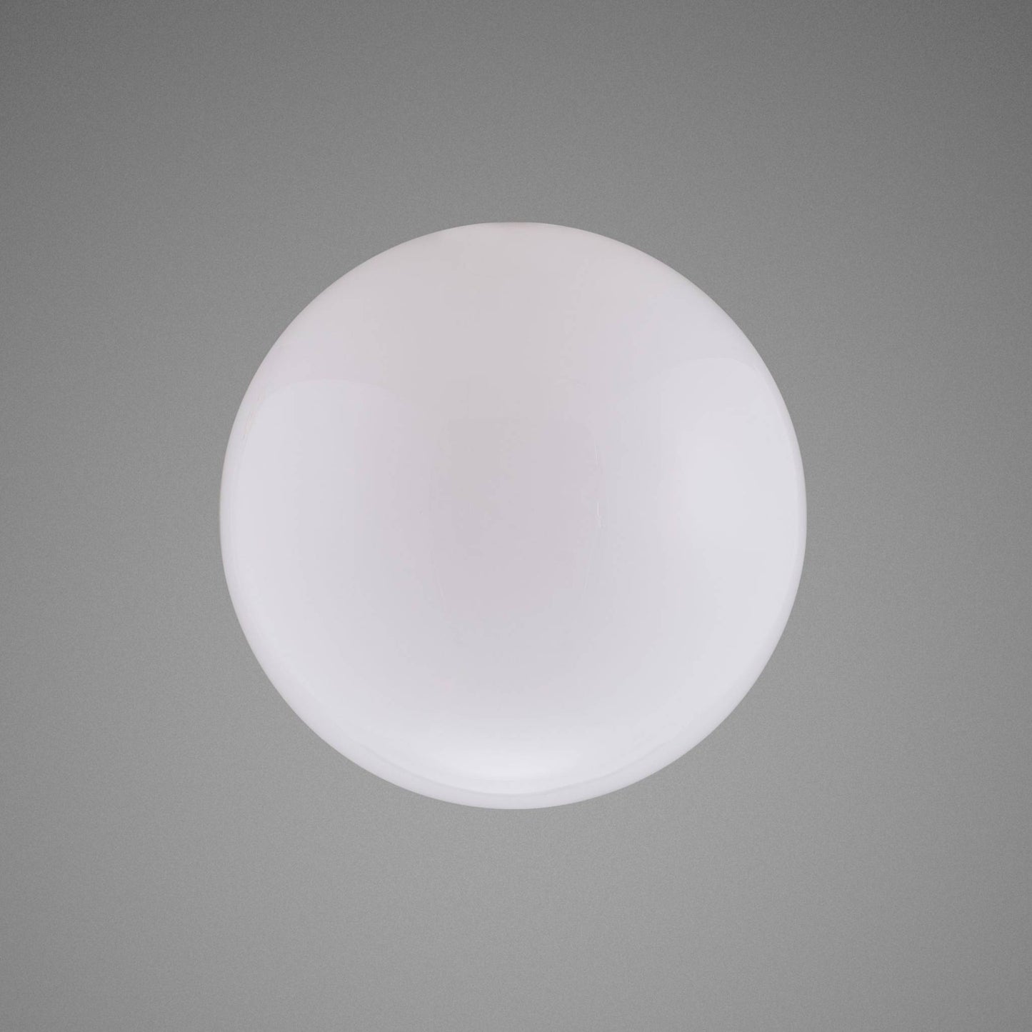FORKED GLOBE / LARGE - OPAL