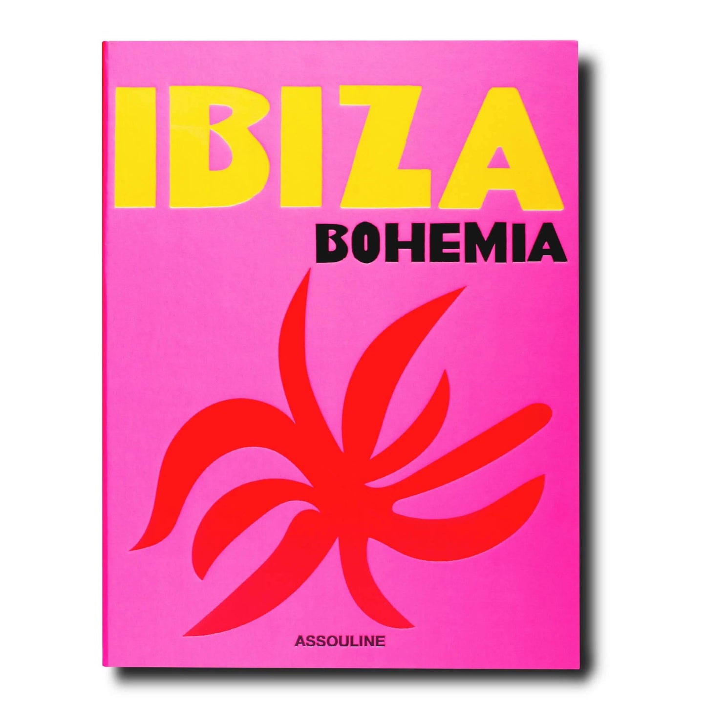 IBIZA BOHEMIA BOOK - $95