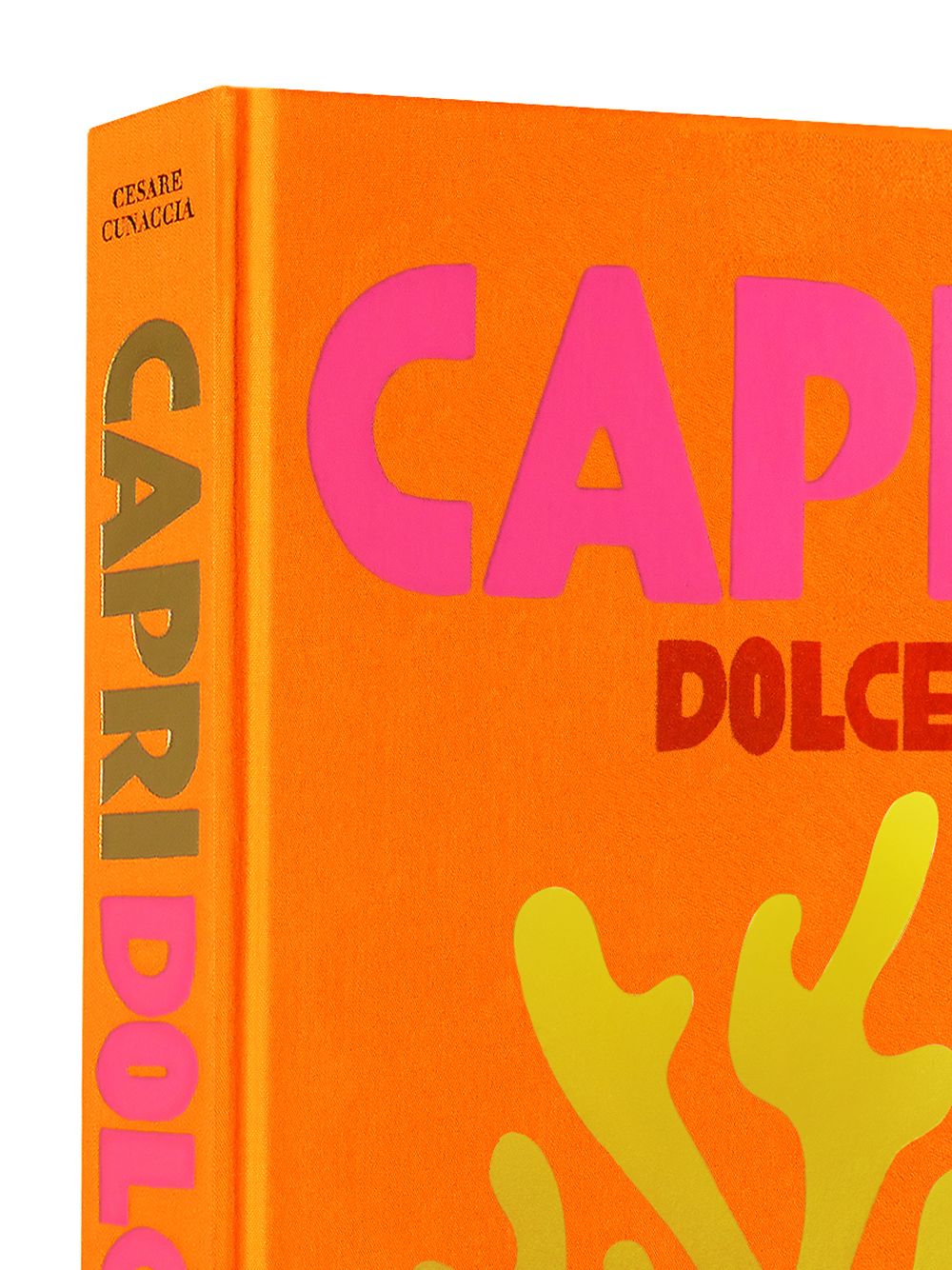CAPRI DOLCE VITA BOOK - $105